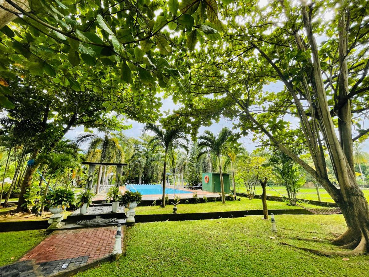 Tishan Holiday Resort Polonnâruvâ Extérieur photo